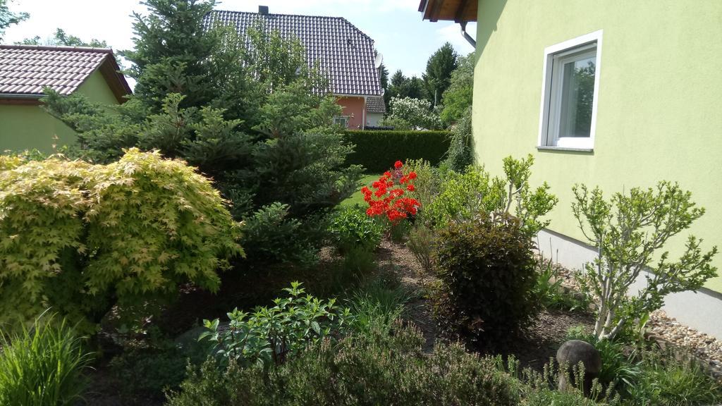 Apartmenthaus Reichelt Göda エクステリア 写真